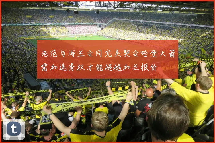 老范与海王合同完美契合哈登火箭需加选秀权才能超越加兰报价