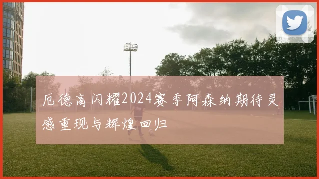 厄德高闪耀2024赛季阿森纳期待灵感重现与辉煌回归